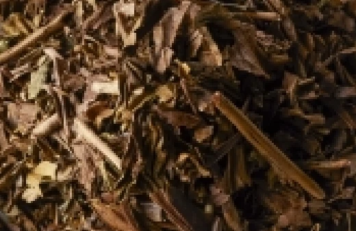 焙じ茶